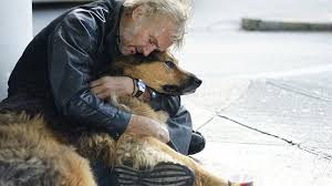 homeless with a dog