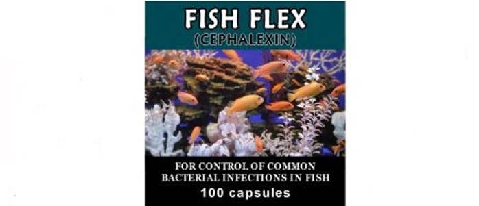 Fish Flex For Humans