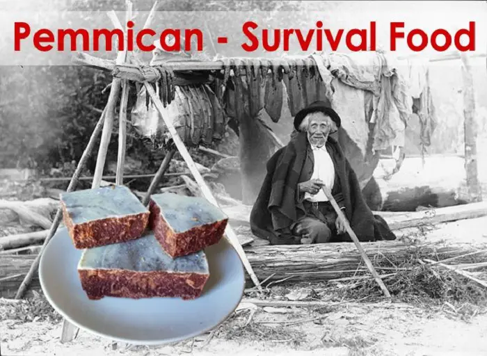 Recipe For Pemmican