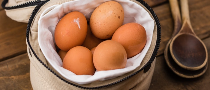 how-to-store-eggs-long-term